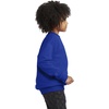 image:imageHanes Boys EcoSmart Sweatshirt Cotton Crewneck Pullover Kids Fleece SweatshirtDeep Royal