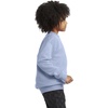 image:imageHanes Boys EcoSmart Sweatshirt Cotton Crewneck Pullover Kids Fleece SweatshirtLight Blue