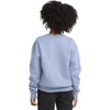 image:imageHanes Boys EcoSmart Sweatshirt Cotton Crewneck Pullover Kids Fleece SweatshirtLight Blue