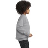 image:imageHanes Boys EcoSmart Sweatshirt Cotton Crewneck Pullover Kids Fleece SweatshirtLight Steel