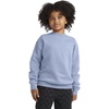 image:imageHanes Boys EcoSmart Sweatshirt Cotton Crewneck Pullover Kids Fleece SweatshirtLight Blue