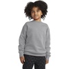image:imageHanes Boys EcoSmart Sweatshirt Cotton Crewneck Pullover Kids Fleece SweatshirtLight Steel