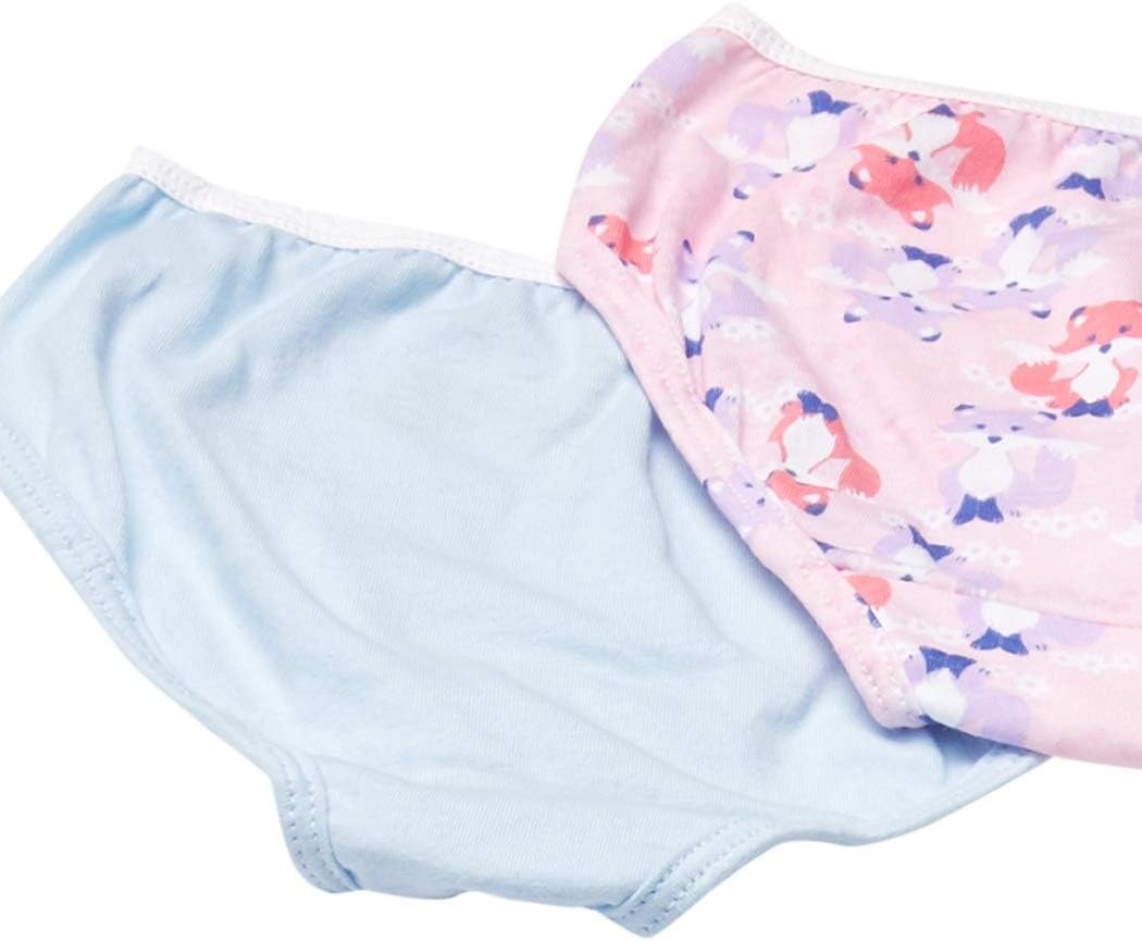 image:imageHanes Girls Hanes Girls 20pack Tagless Cotton Brief PantiesBriefs  Assorted 2  10 Pack