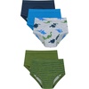 image:imageHanes Boys Potty Training Underwear Light Leaks Toddler Cotton Briefs and Boxer Briefs MultipackGreenDinos  5 Pack
