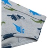 image:imageHanes Boys Potty Training Underwear Light Leaks Toddler Cotton Briefs and Boxer Briefs MultipackGreenDinos  5 Pack