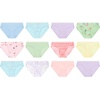 image:imageHanes Girls Hanes Girls 20pack Tagless Cotton Brief PantiesPurple  Hearts  Flowers  Green  Blue  Pink