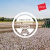 image:imageHanes Mens BeefyT TShirt Heavyweight Cotton TShirts for Men 1 or 2 Pack Mens Tees TallDeep Royal