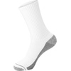 image:imageHanes Mens Crew amp Over the Calf Socks Pack Max Cushioned Moisturewicking Stay Dry Socks Athletic Socks 6 8 Or 12pairsWhite With Gray Logo  8 Pack