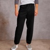 image:imageHanes Mens Ecosmart Best Sweatpants Athletic Lounge Pants with Ced CuffsBlackLight Steel  2 Pack
