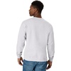 image:imageHanes Mens Sweatshirt EcoSmart Fleece Crewneck Sweatshirt Big amp Tall Available 1 or 2PackAsh