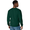image:imageHanes Mens Sweatshirt EcoSmart Fleece Crewneck Sweatshirt Big amp Tall Available 1 or 2PackDeep Forest