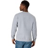 image:imageHanes Mens Sweatshirt EcoSmart Fleece Crewneck Sweatshirt Big amp Tall Available 1 or 2PackLight Steel