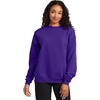 image:imageHanes Mens Sweatshirt EcoSmart Fleece Crewneck Sweatshirt Big amp Tall Available 1 or 2PackPurple  1 Pack