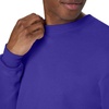 image:imageHanes Mens Sweatshirt EcoSmart Fleece Crewneck Sweatshirt Big amp Tall Available 1 or 2PackPurple