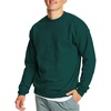 image:imageHanes Mens Sweatshirt EcoSmart Fleece Crewneck Sweatshirt Big amp Tall Available 1 or 2PackDeep Forest  1 Pack
